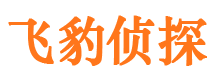 云浮市调查公司